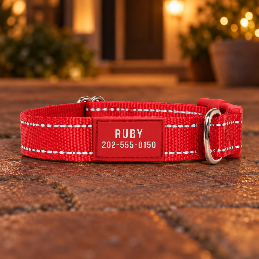 Red Pawblefy reflective nylon collar showing reflective stitching at night