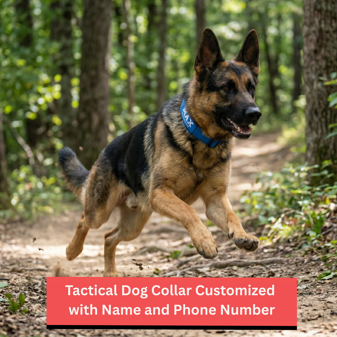 Pawblefy personalized tactical dog collar — image 1
