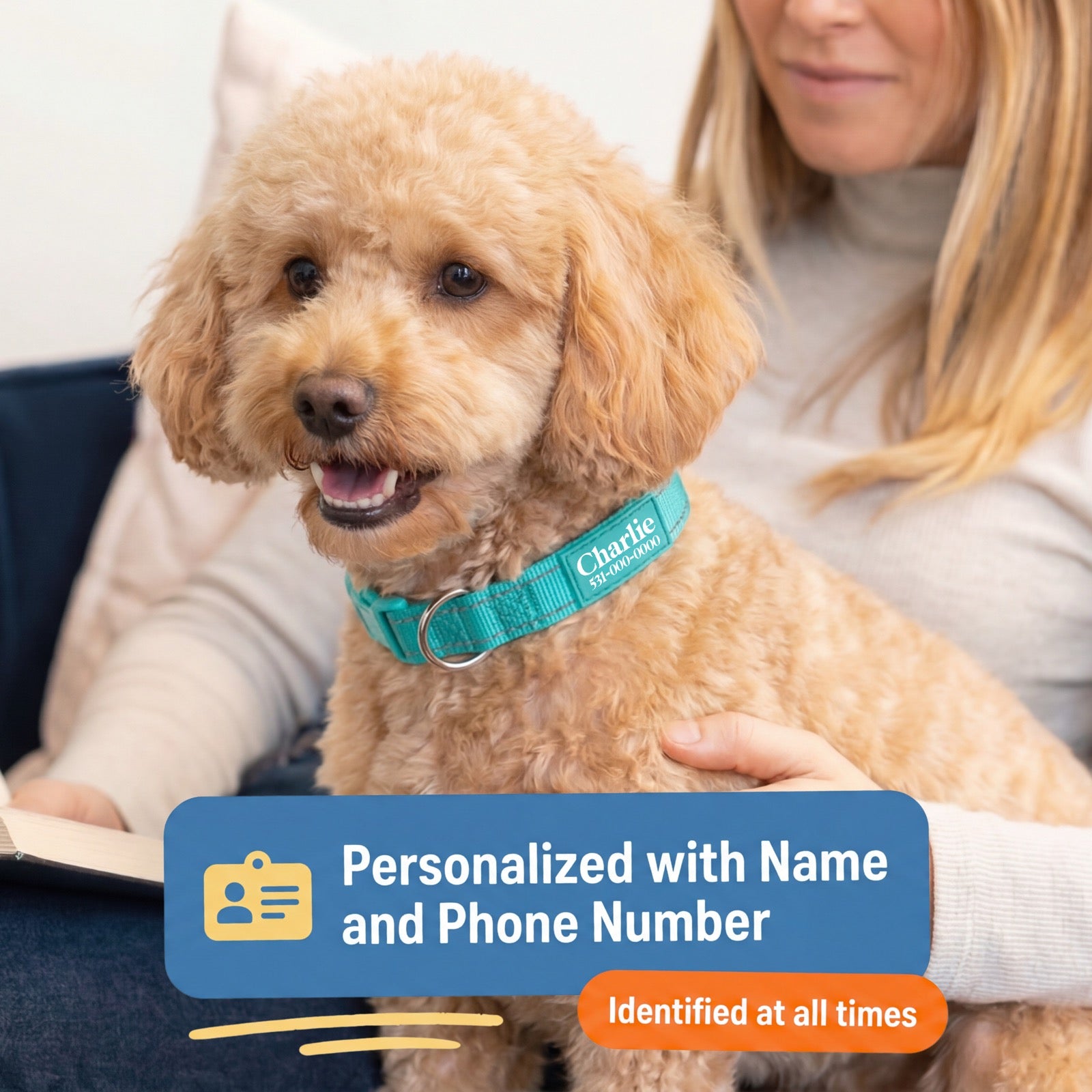 Happy dog wearing a personalized Pawblefy collar