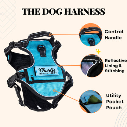 Personalized No Pull Harness