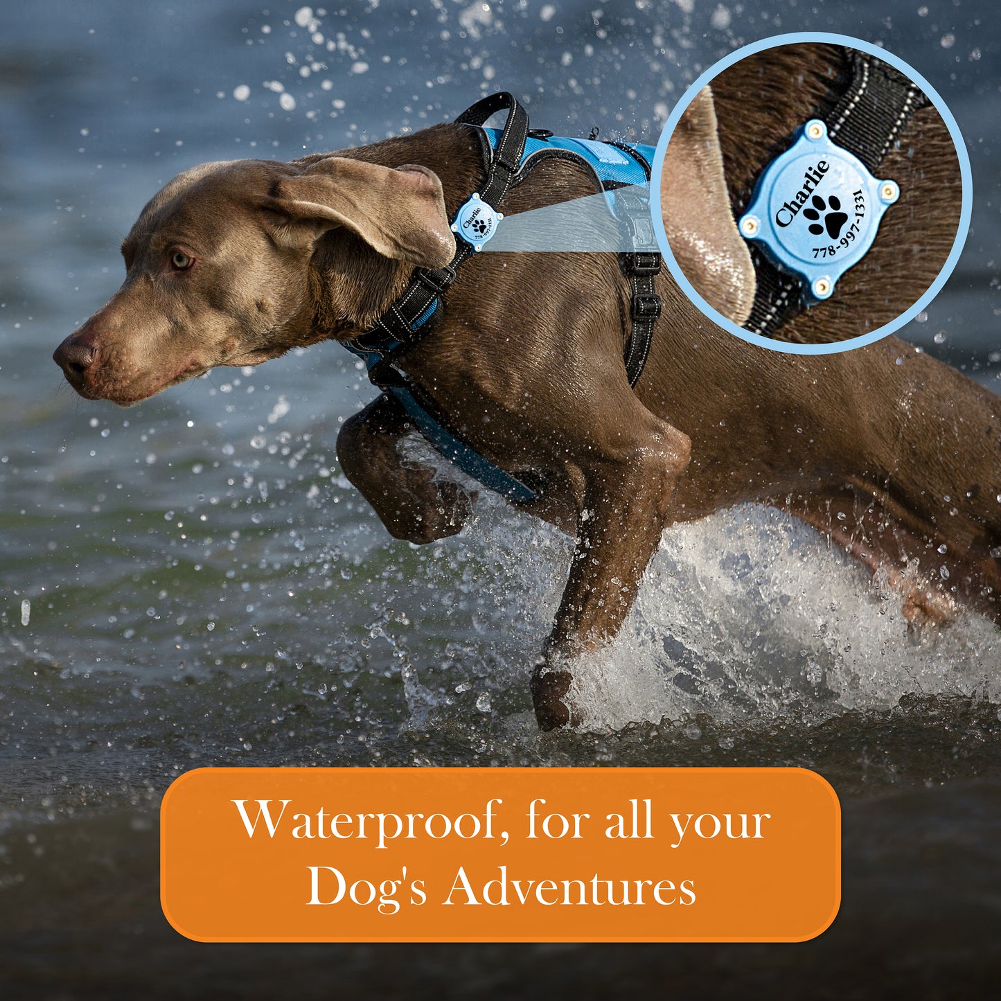 Personalized Waterproof Airtag Case