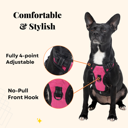 Personalized No Pull Harness