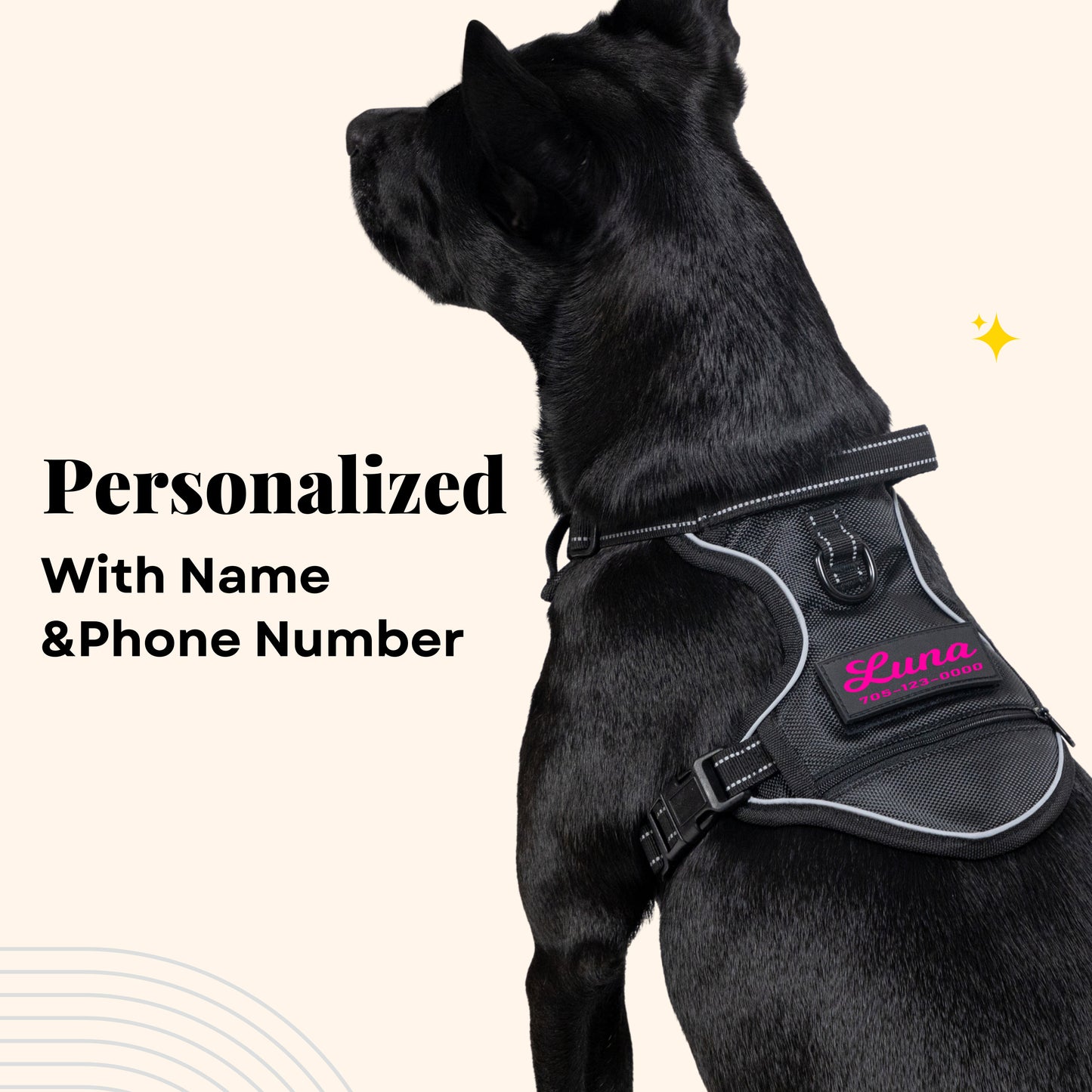 Personalized No Pull Harness