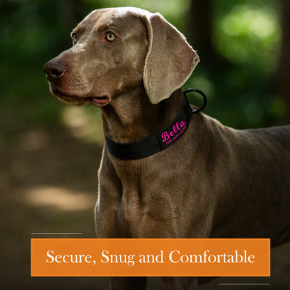 Personalized Heavy Duty Collar