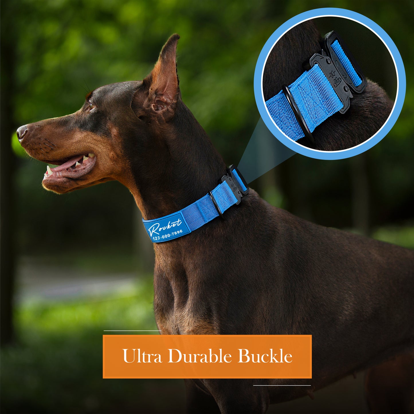 Personalized Heavy Duty Collar