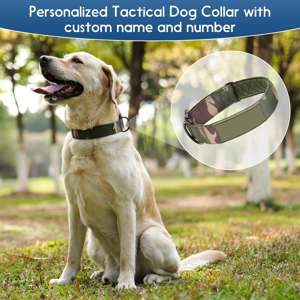 Pawblefy tactical dog collar size guide