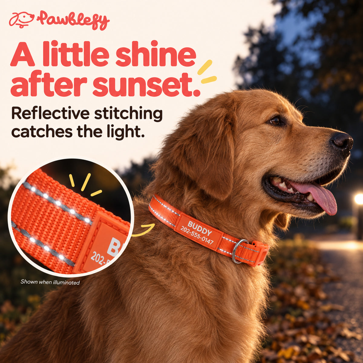 Orange nylon collar with reflective stitching catching external light during an evening walk.