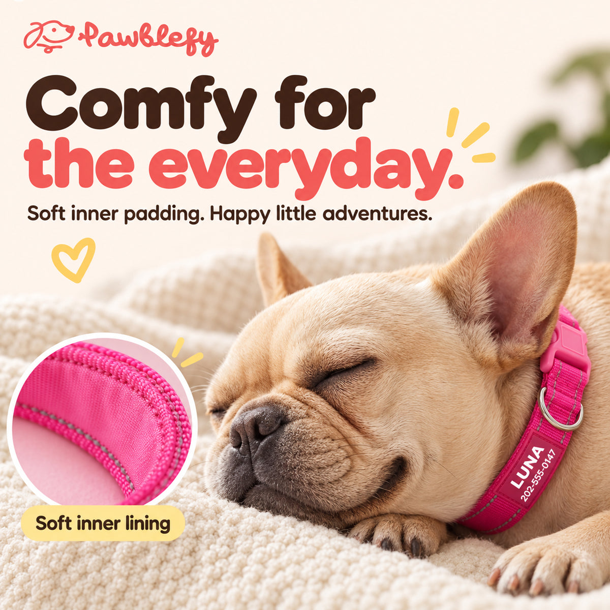 Sleeping French bulldog wearing a pink collar, with a close-up of its soft inner lining.