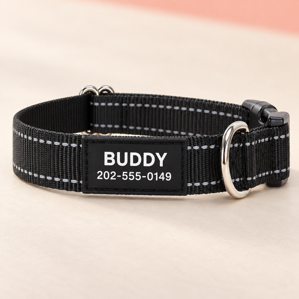 Black Pawblefy nylon collar showing reflective stitching, plastic buckle, silver D-ring and sample name panel