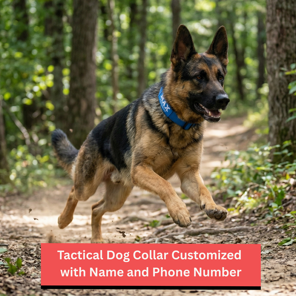Pawblefy personalized tactical dog collar — image 1