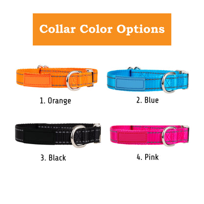 Personalized Dog Collar