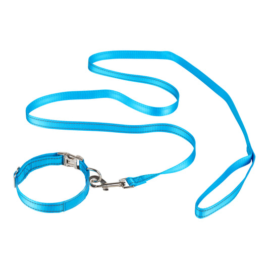 Reflective Leash