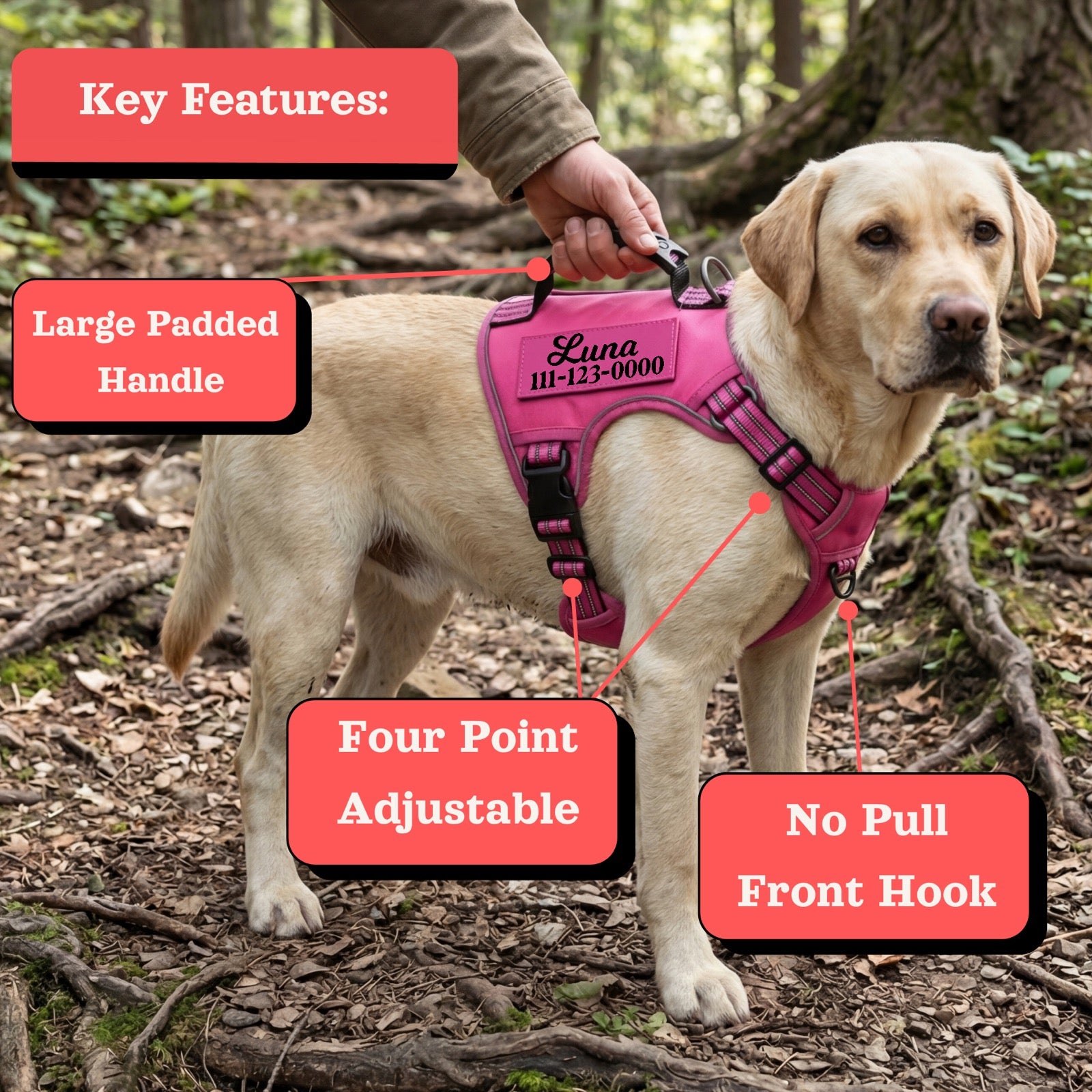 Personalized Tactical No-Pull Dog Harness detail