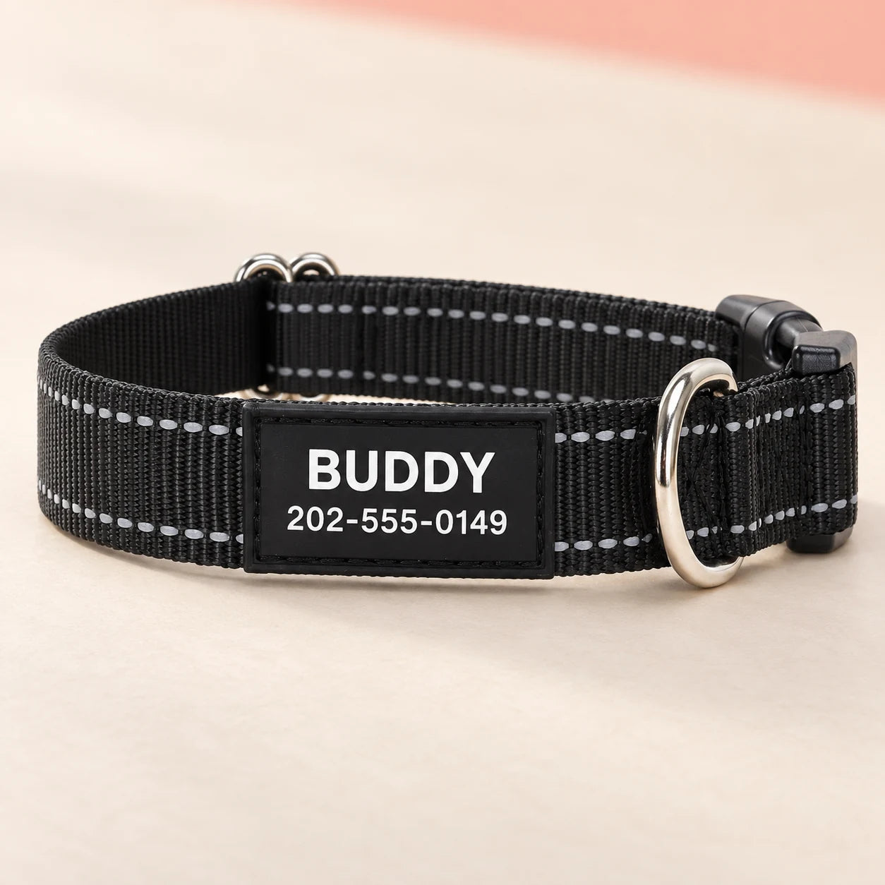 Personalized black nylon collar showing name panel and hardware